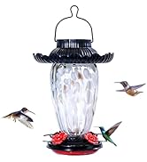 Muse Garden Solar Hummingbird Feeders for Outdoors Hanging, 38oz Hand Blown Glass Humming Bird Fe...