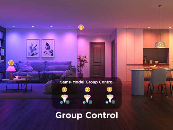 Govee indoor lighting