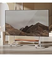 BEISHI Stainless Steel Art Rolling TV Cart, Mobile TV Stand for 65-110inch TVs, Heavy Duty TV Sta...