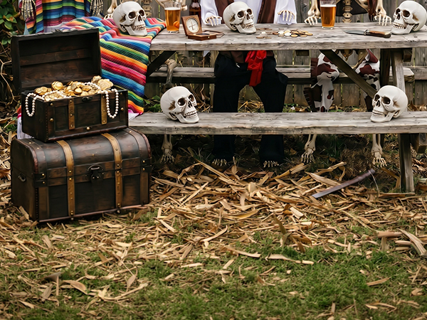 Halloween Life Size Skeleton 