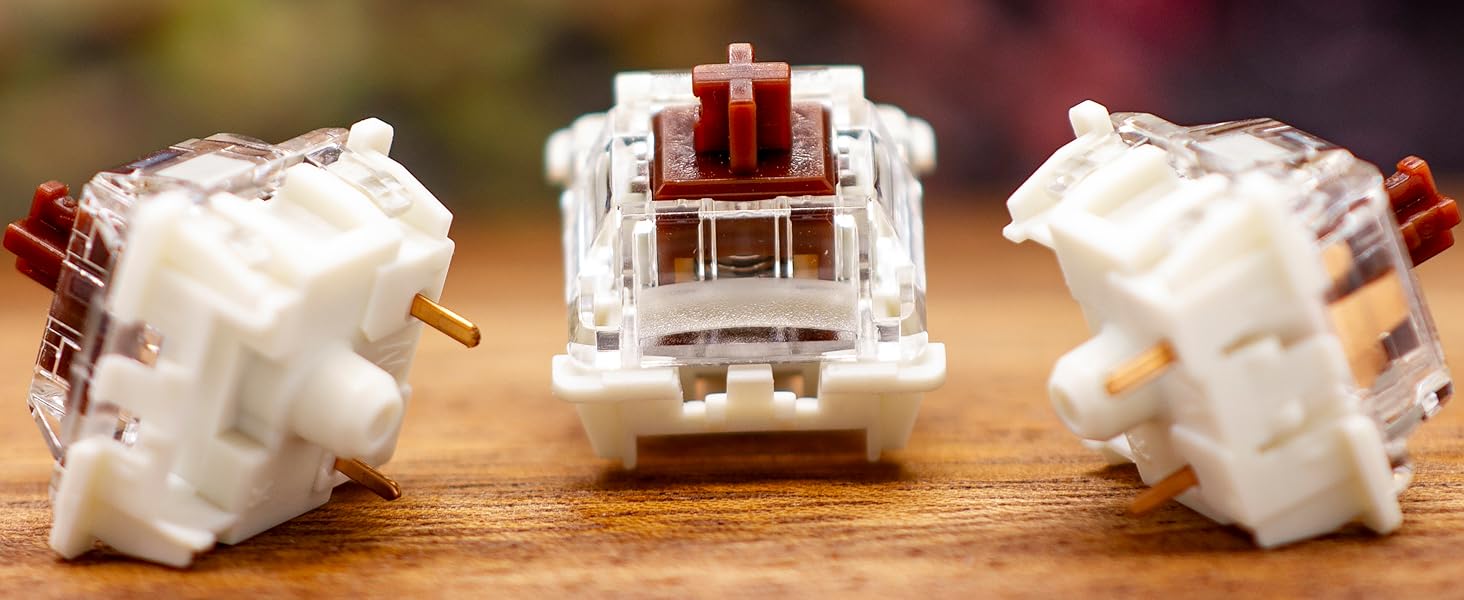 GATERON Brown Switches