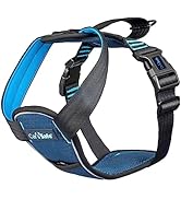 CarSafe Crash Tested Dog Harness Blue Medium