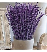 Dried Purple Lavender Flowers Bundle-Dried Preserved Lavender Bouquet 8-12" for Shower Weeding Ho...