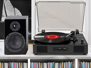 turntable for vinyl records