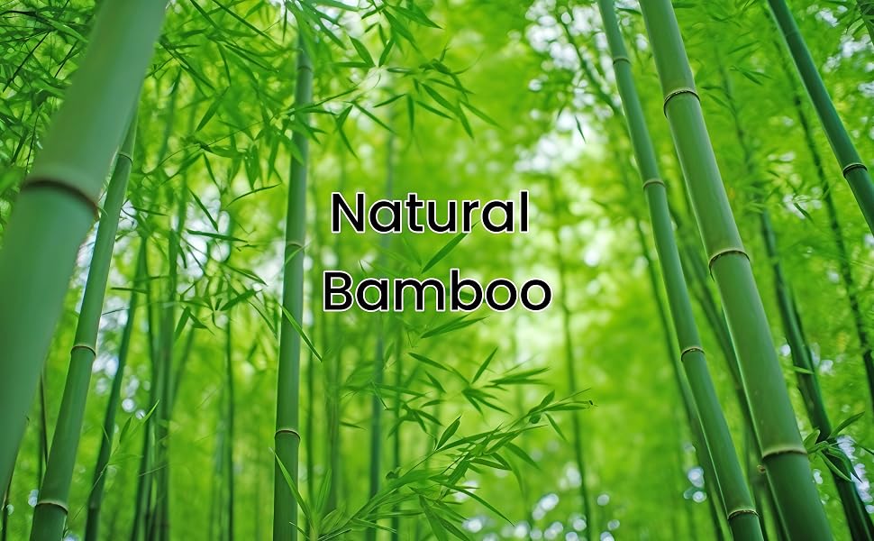 Bamboo Skewers 1