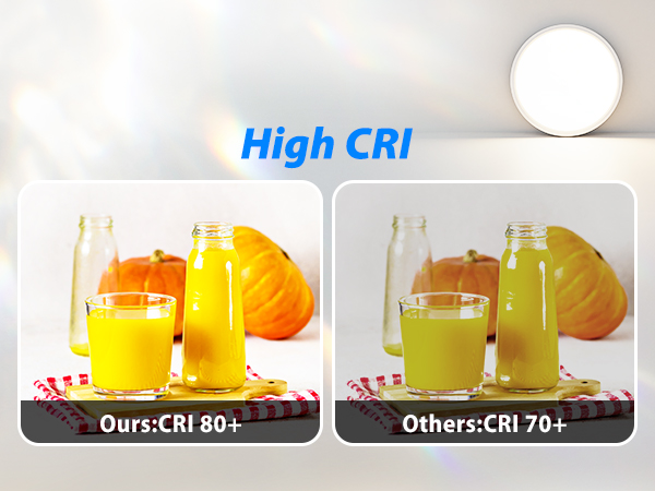 eye protect ceiling light fixture