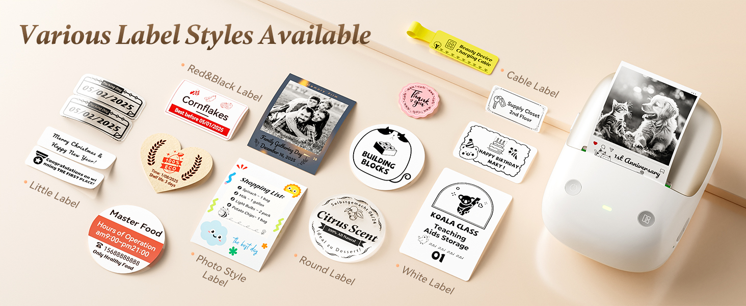 NIIMBOT B2 Pro Label Maker with Various Label Styles