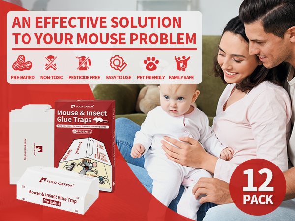 Sticky Mouse Traps