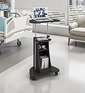 Techni Mobili Sit-to-Stand Rolling Adjustable Height Laptop Cart with Storage, Graphite, 22 x 16 ...