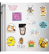 XMJY 13PCS Funny Meme Magnets for Fridge - Funny Fridge Magnet Adults Refrigerator Fun Cute Meme ...