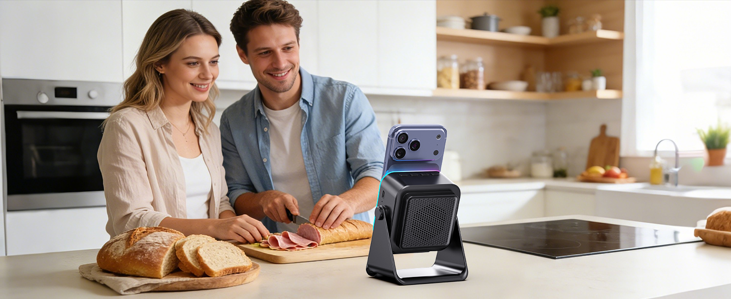 wireless induction speaker