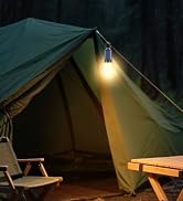 FIELDSPARK Solar Light Bulb for Outdoor, Portable Waterproof Tent Lights with Clip Hook, Recharge...