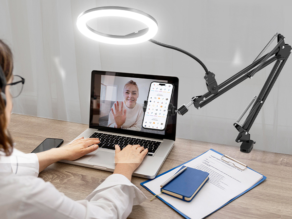 overhead phone mount with light