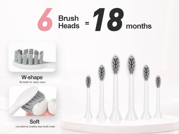 6 brush heads electric toothbrush