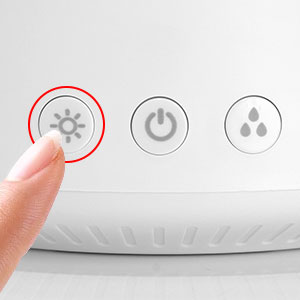 plant humidifier indoor