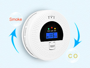 co detector