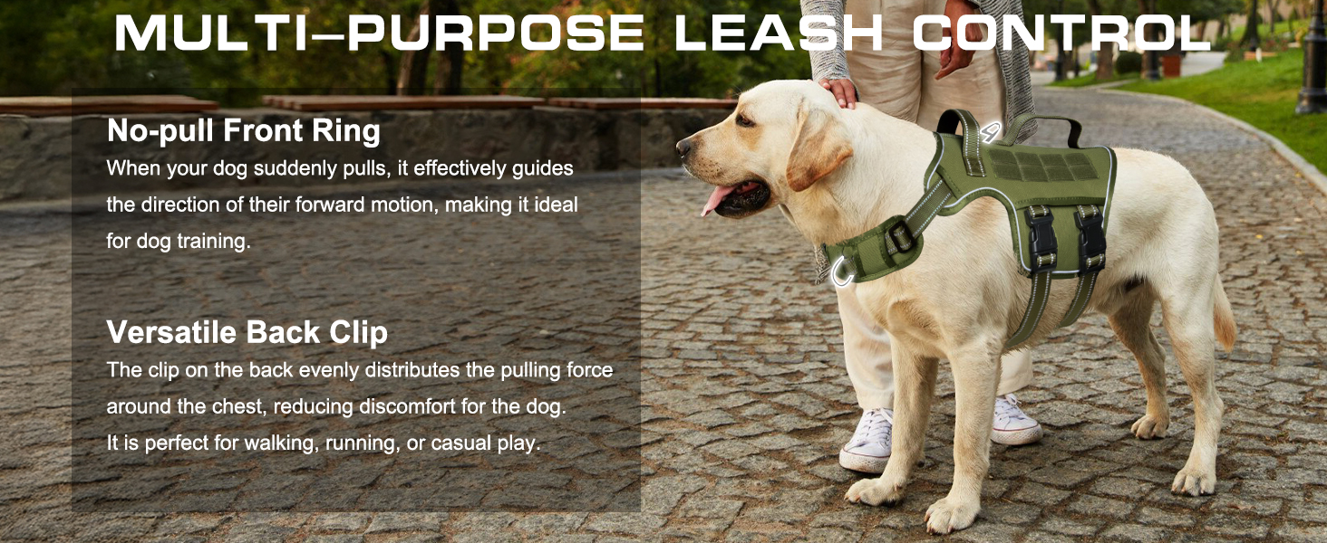 dog harness