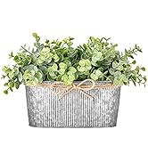 Dahey Artificial Eucalyptus Faux Plants Indoor for Farmhouse Home Decor Fake Potted Plants in Rus...