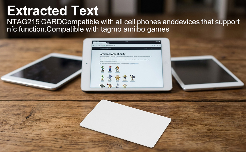 Extracted Text