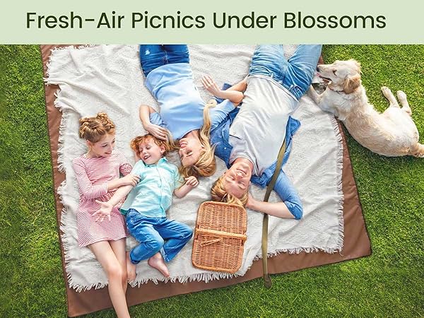 Picnic Blanket
