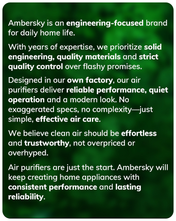 the brand story and background of Ambersky