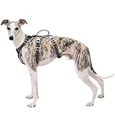 Escape Proof Dog Harness