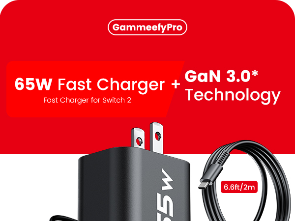 nintendo switch 2charger