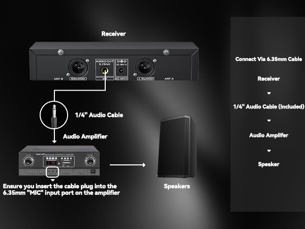 microphone for singing