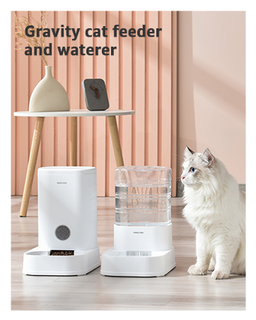 cat food dispenser
