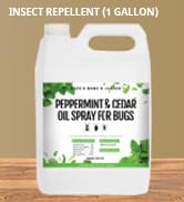 peppermint cedar spray gallon
