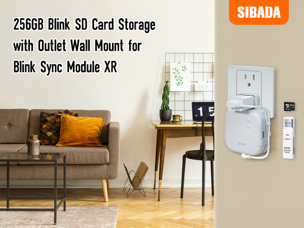 blink sync module XR mount