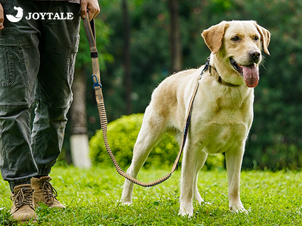 Tactical Dog Leash
