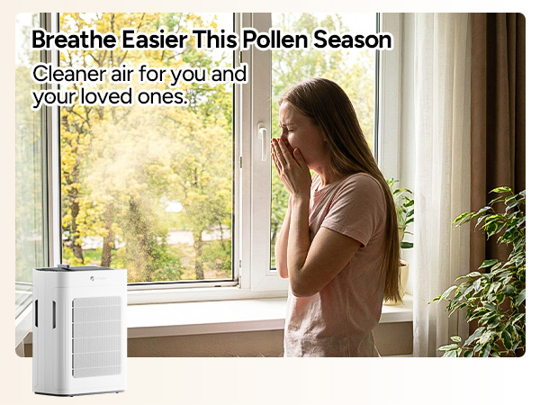 hepa air purifier