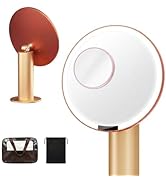 SJZX Lighted Makeup Mirror with Travel Case &amp; 10X Magnification, Rechargeable Vanity Mirror with ...