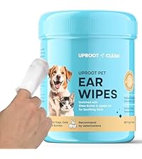 https://m.media-amazon.com/images/I/41VgBOoAYJL.__AC_SR200,225___.jpg