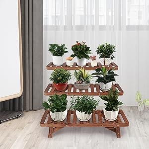 3 tier plant stand with different height tiers for plant growth