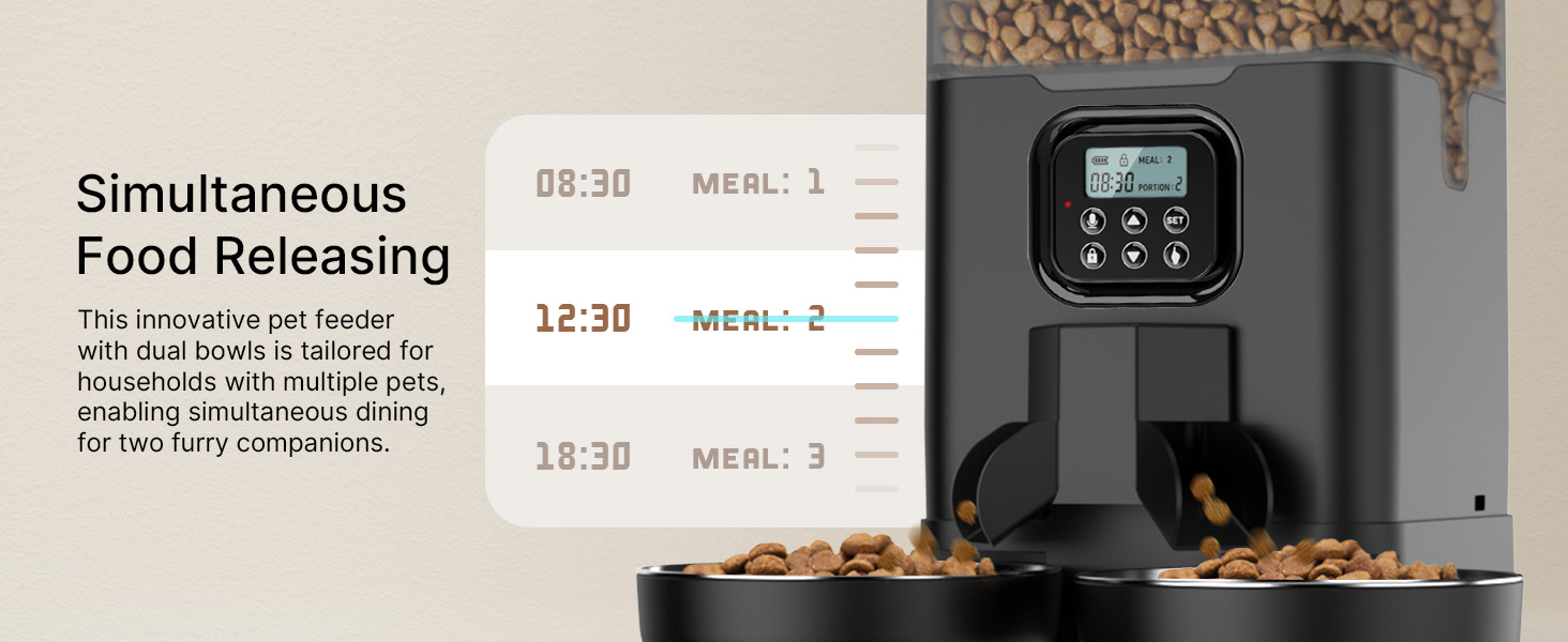 automatic cat feeders