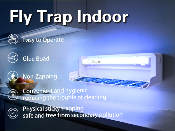 Fly Trap Indoor