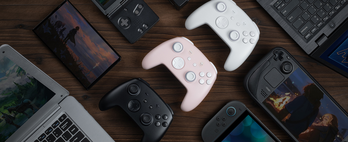 switch pro controller