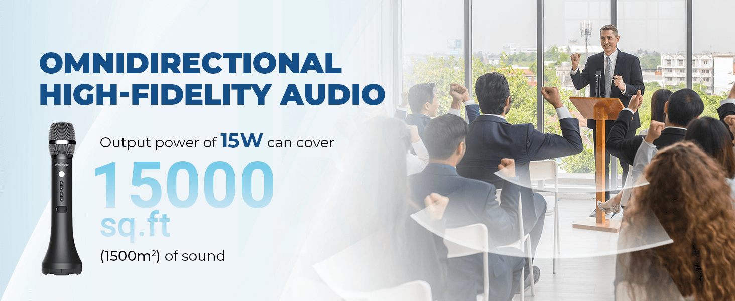 speaker and microphone