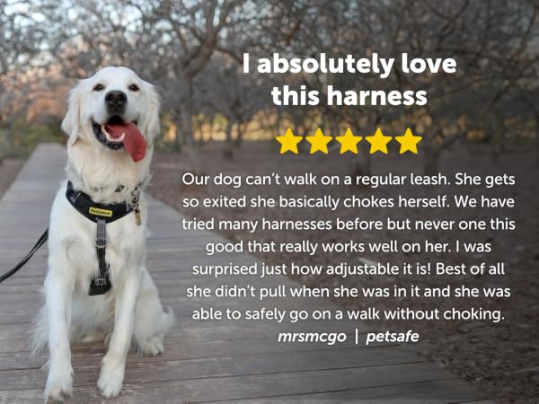 5 star review