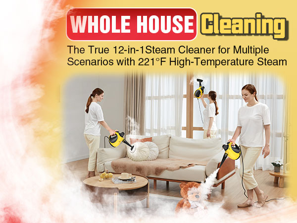 WHOLE HOUSE Cleaning