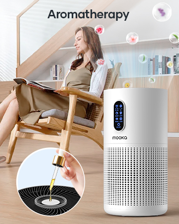 air purifier with aromatherapy