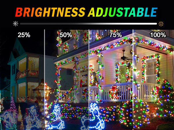 CHRISTMAS LIGHTS