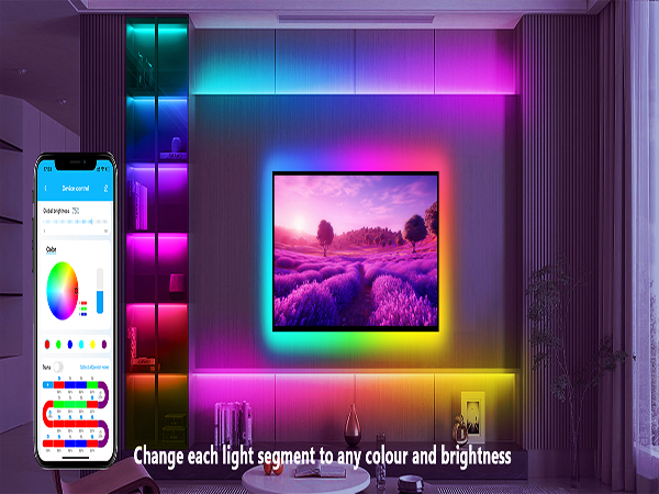 dalattin LED Strip Lights IC+RGB, 5050 Led Lights for Bedroom, DIY Multiple Colors on One Line
