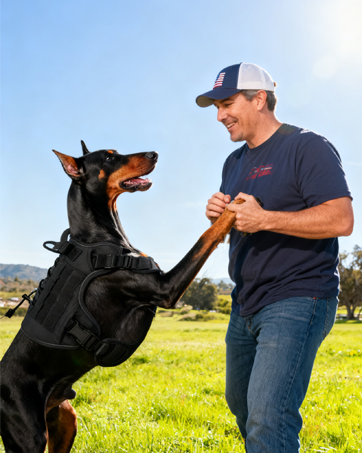 Our Dachshund Harness, Along with Other Puppy Harness Are A Great Fit for different Pooches!