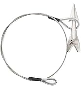 BLUEWING Harpoon Rigged Dart Head 1pc Stainless Steel Harpoon Dart with 460LB Stainless Steel Wir...