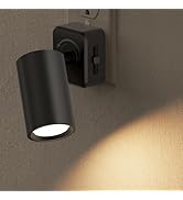 Briignite Night Lights Plug into Wall, 320° Rotation, Plug in Night Light, Dusk to Dawn Night Lig...