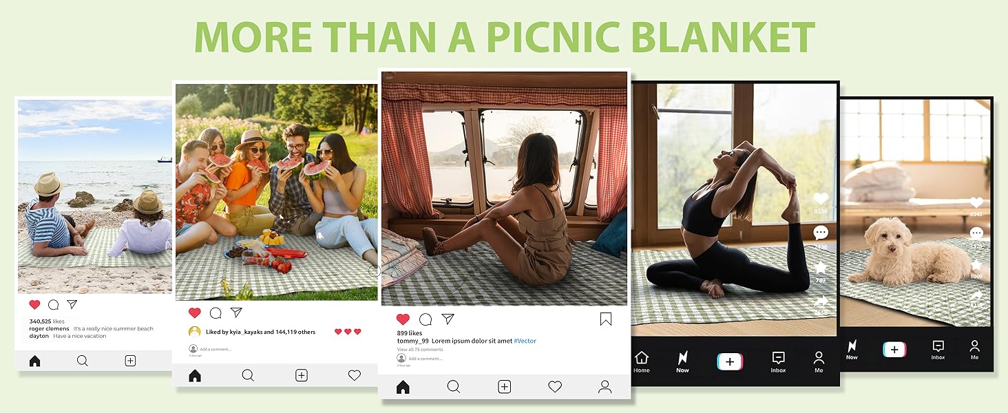 picnic