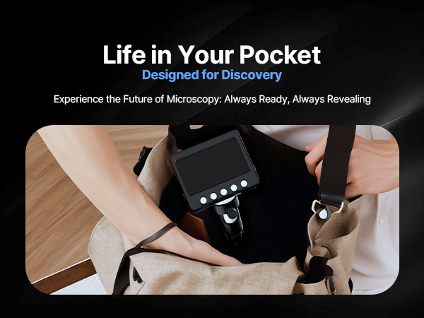 Observation Microscope